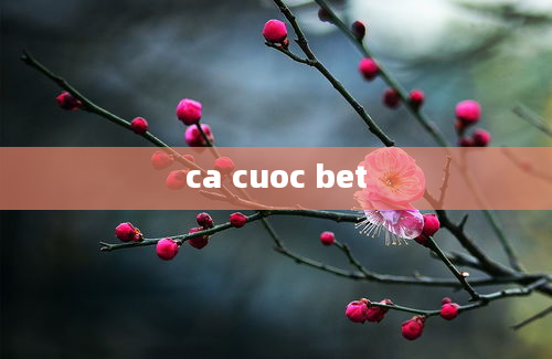 ca cuoc bet