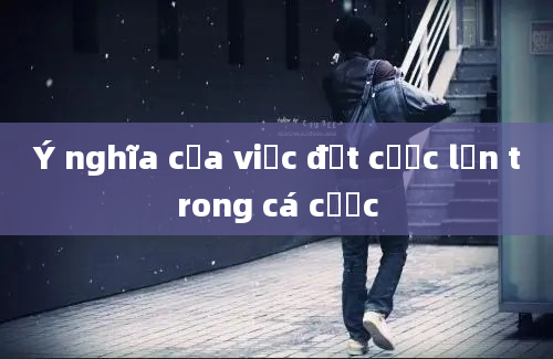 Ý nghĩa của việc đặt cược lớn trong cá cược