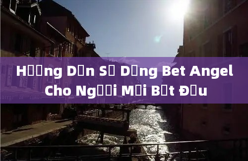 Hướng Dẫn Sử Dụng Bet Angel Cho Người Mới Bắt Đầu