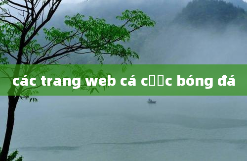 các trang web cá cược bóng đá