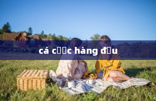 cá cược hàng đầu