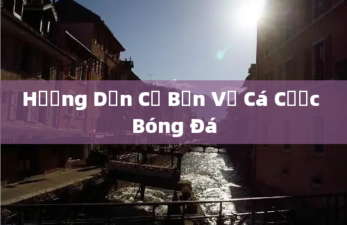 Hướng Dẫn Cơ Bản Về Cá Cược Bóng Đá