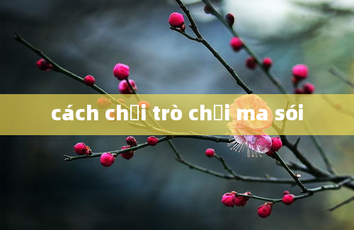 cách chơi trò chơi ma sói