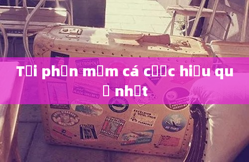 Tải phần mềm cá cược hiệu quả nhất