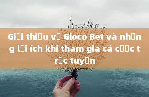 Giới thiệu về Gioco Bet và những lợi ích khi tham gia cá cược trực tuyến