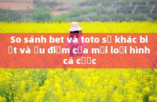 So sánh bet và toto sự khác biệt và ưu điểm của mỗi loại hình cá cược