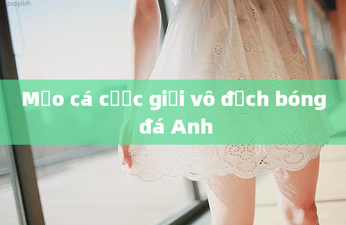 Mẹo cá cược giải vô địch bóng đá Anh