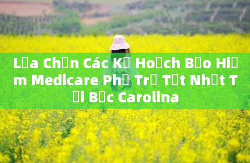 Lựa Chọn Các Kế Hoạch Bảo Hiểm Medicare Phụ Trợ Tốt Nhất Tại Bắc Carolina