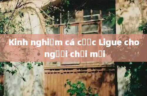 Kinh nghiệm cá cược Ligue cho người chơi mới