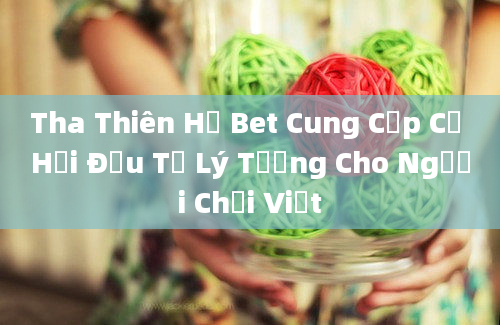 Tha Thiên Hạ Bet Cung Cấp Cơ Hội Đầu Tư Lý Tưởng Cho Người Chơi Việt