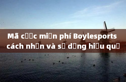 Mã cược miễn phí Boylesports cách nhận và sử dụng hiệu quả