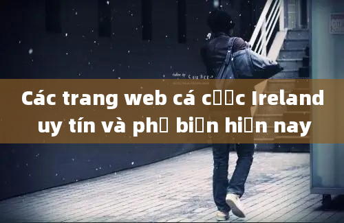 Các trang web cá cược Ireland uy tín và phổ biến hiện nay