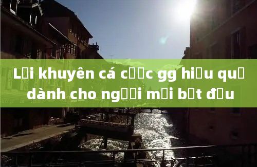 Lời khuyên cá cược gg hiệu quả dành cho người mới bắt đầu