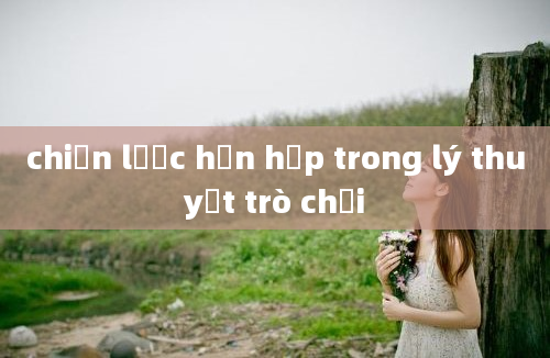 chiến lược hỗn hợp trong lý thuyết trò chơi