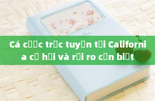 Cá cược trực tuyến tại California cơ hội và rủi ro cần biết