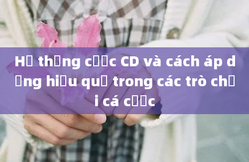 Hệ thống cược CD và cách áp dụng hiệu quả trong các trò chơi cá cược