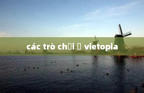 các trò chơi ở vietopia