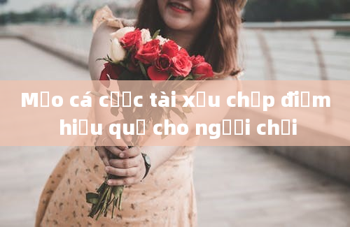 Mẹo cá cược tài xỉu chấp điểm hiệu quả cho người chơi