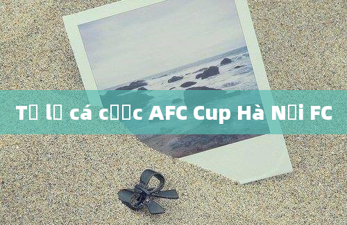 Tỷ lệ cá cược AFC Cup Hà Nội FC