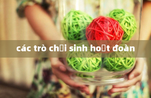 các trò chơi sinh hoạt đoàn