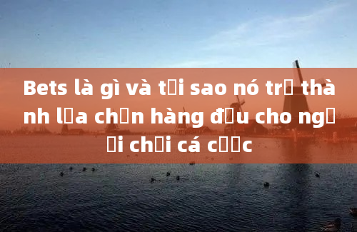 Bets là gì và tại sao nó trở thành lựa chọn hàng đầu cho người chơi cá cược