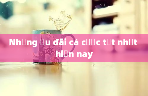 Những ưu đãi cá cược tốt nhất hiện nay