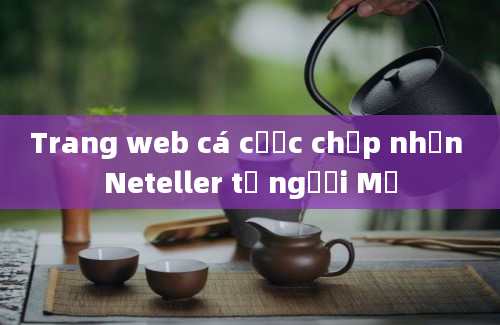 Trang web cá cược chấp nhận Neteller từ người Mỹ