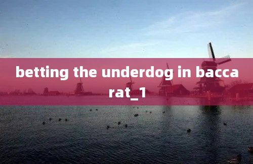 betting the underdog in baccarat_1