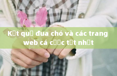 Kết quả đua chó và các trang web cá cược tốt nhất