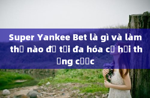 Super Yankee Bet là gì và làm thế nào để tối đa hóa cơ hội thắng cược