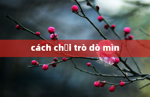 cách chơi trò dò mìn