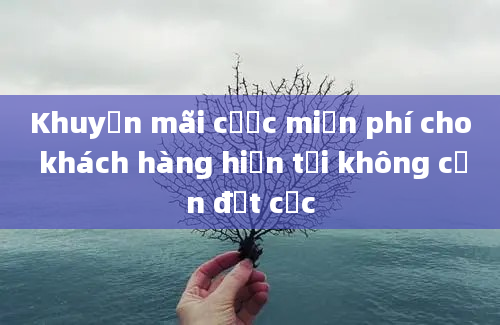 Khuyến mãi cược miễn phí cho khách hàng hiện tại không cần đặt cọc