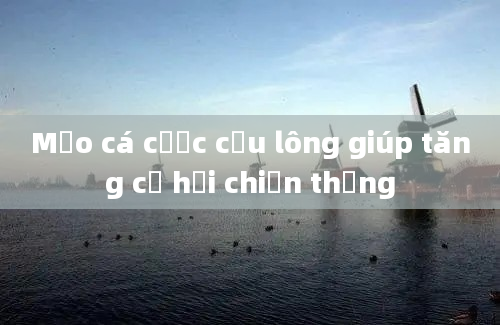 Mẹo cá cược cầu lông giúp tăng cơ hội chiến thắng