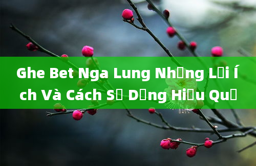 Ghe Bet Nga Lung Những Lợi Ích Và Cách Sử Dụng Hiệu Quả