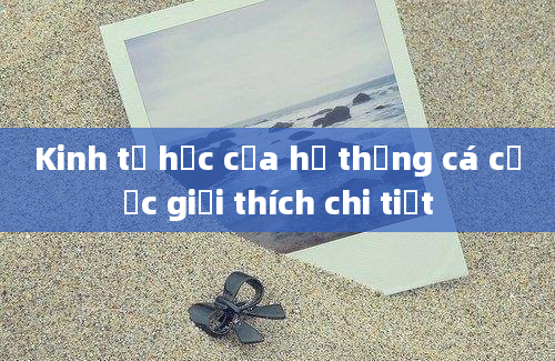 Kinh tế học của hệ thống cá cược giải thích chi tiết