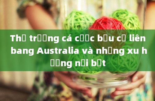 Thị trường cá cược bầu cử liên bang Australia và những xu hướng nổi bật