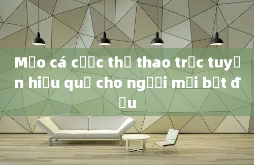 Mẹo cá cược thể thao trực tuyến hiệu quả cho người mới bắt đầu