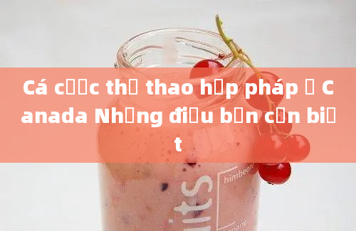 Cá cược thể thao hợp pháp ở Canada Những điều bạn cần biết