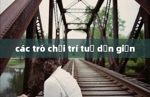 các trò chơi trí tuệ dơn giản