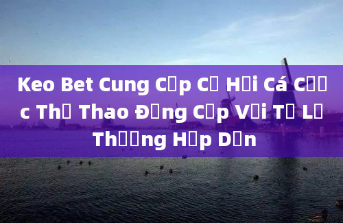 Keo Bet Cung Cấp Cơ Hội Cá Cược Thể Thao Đẳng Cấp Với Tỷ Lệ Thưởng Hấp Dẫn