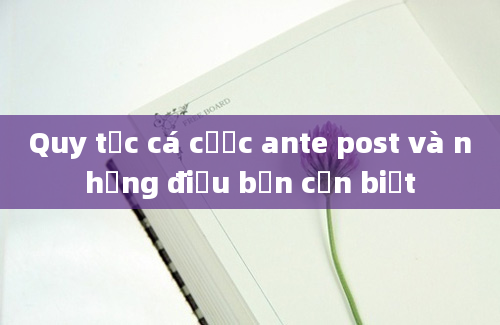 Quy tắc cá cược ante post và những điều bạn cần biết