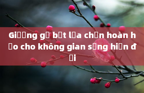 Giường gỗ bệt lựa chọn hoàn hảo cho không gian sống hiện đại