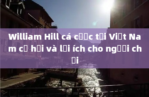 William Hill cá cược tại Việt Nam cơ hội và lợi ích cho người chơi