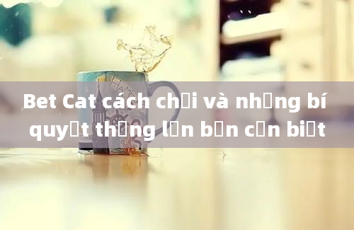 Bet Cat cách chơi và những bí quyết thắng lớn bạn cần biết