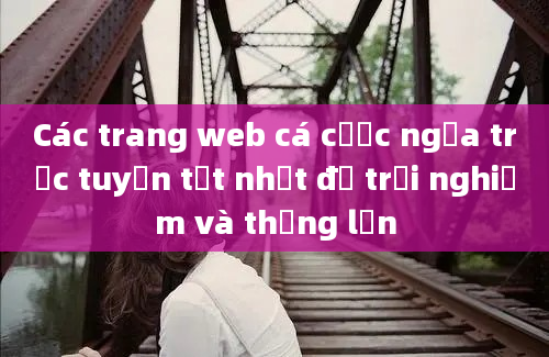 Các trang web cá cược ngựa trực tuyến tốt nhất để trải nghiệm và thắng lớn