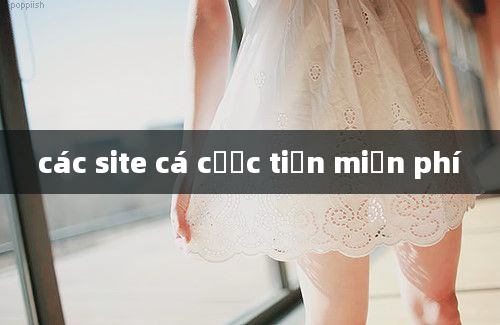 các site cá cược tiền miễn phí