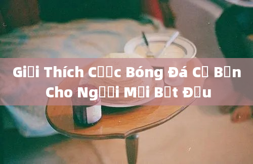 Giải Thích Cược Bóng Đá Cơ Bản Cho Người Mới Bắt Đầu