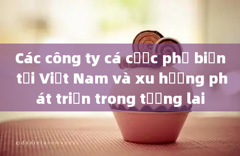 Các công ty cá cược phổ biến tại Việt Nam và xu hướng phát triển trong tương lai