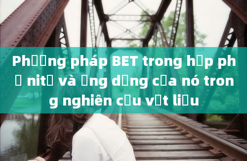 Phương pháp BET trong hấp phụ nitơ và ứng dụng của nó trong nghiên cứu vật liệu