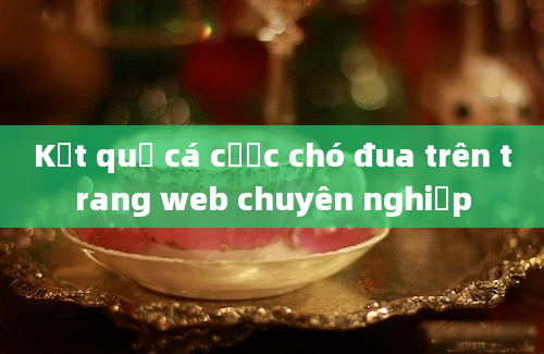 Kết quả cá cược chó đua trên trang web chuyên nghiệp